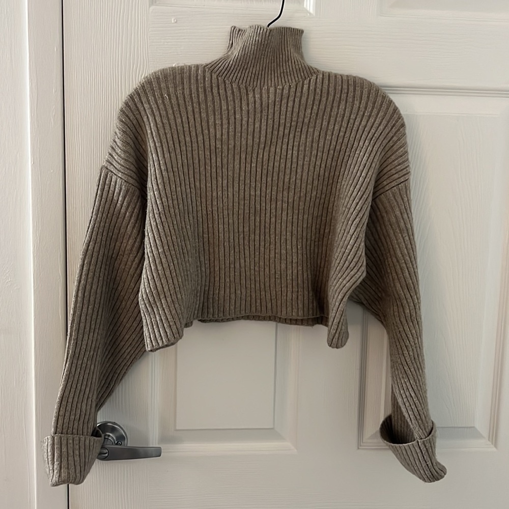 Zara Cropped Turtleneck Sweater